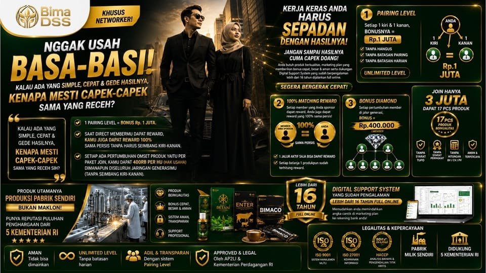 Networker profesional BIMA DSS